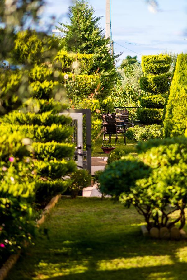Villa Mandani Limenas  Esterno foto