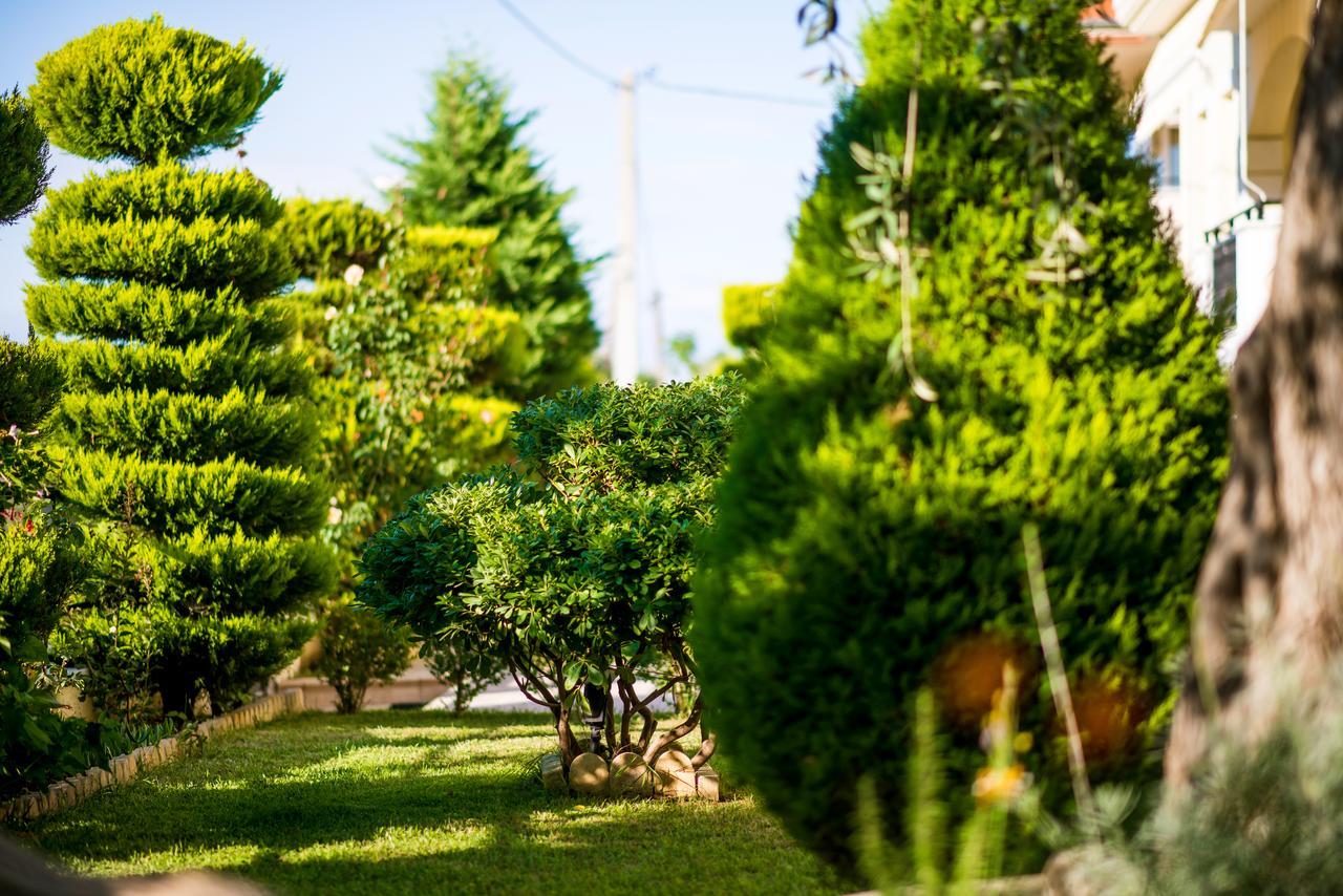 Villa Mandani Limenas  Esterno foto